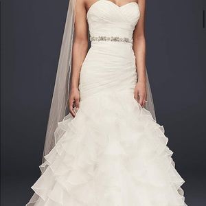 Wedding Dress & Veil